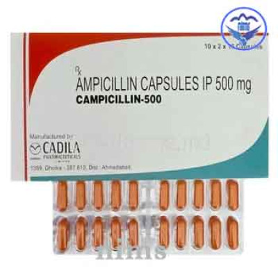 Campicillin 500 Cap